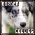 border collie stamp